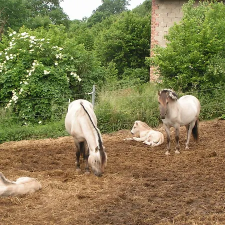 Apartamento Wellness Und Wander Oase Burgwald