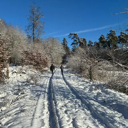 Wellness Und Wander Oase Burgwald Apartmán *