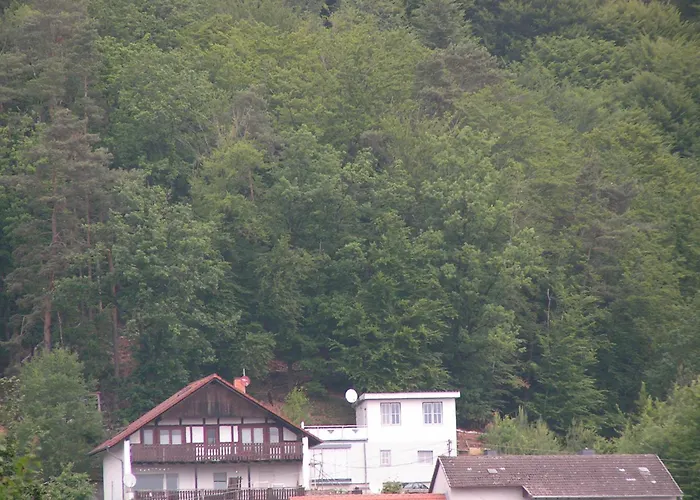 Апартаменты Wellness Und Wander Oase Burgwald Mellnau