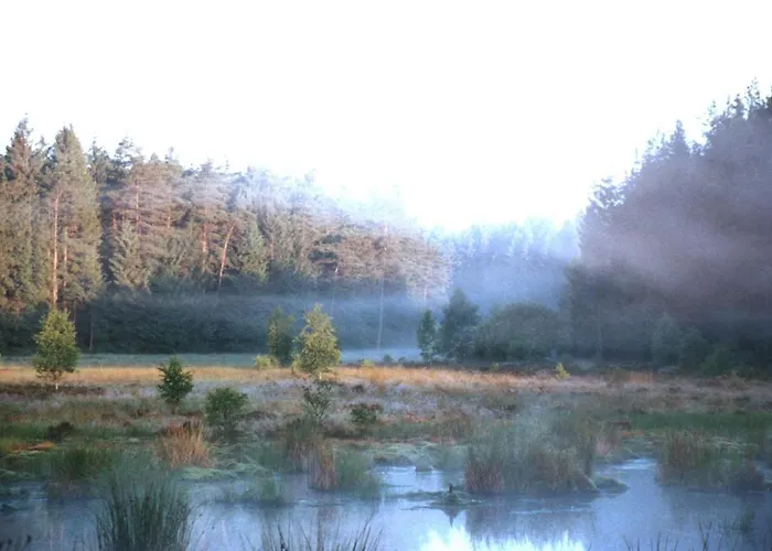 Wellness Und Wander Oase Burgwald *