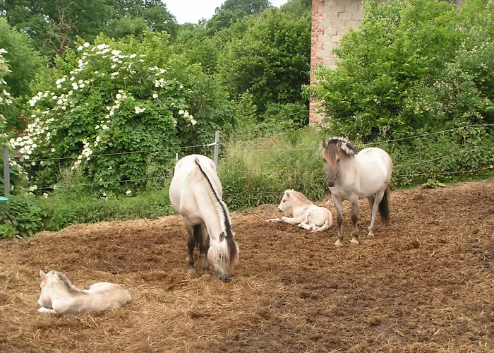 Апартаменты Wellness Und Wander Oase Burgwald