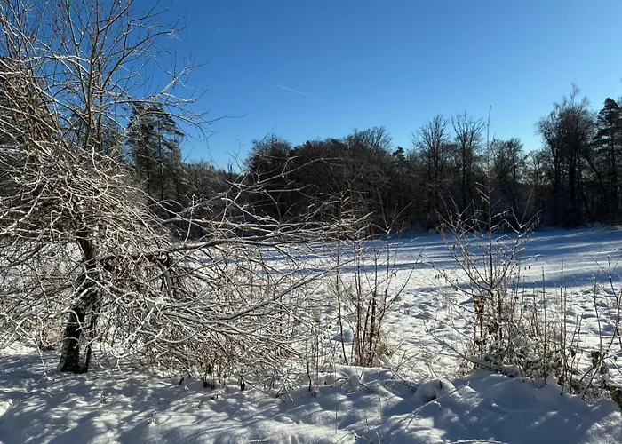 Апартаменты Wellness Und Wander Oase Burgwald