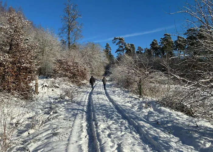 Wellness Und Wander Oase Burgwald Апартаменты *